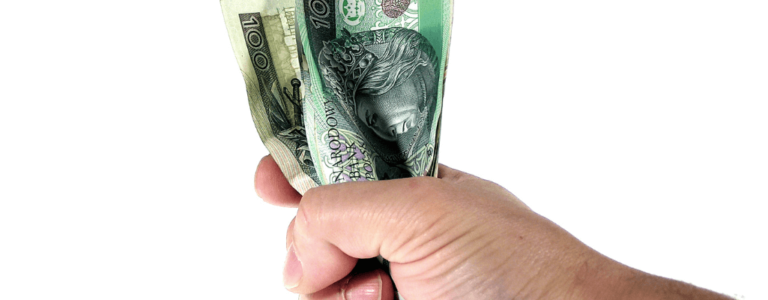 świadczenie wspierające